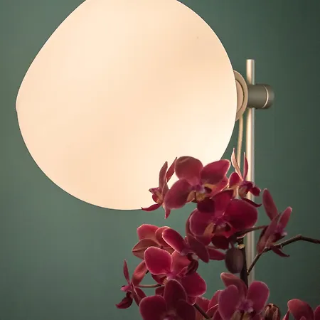 Leone Luxury Kalamákion