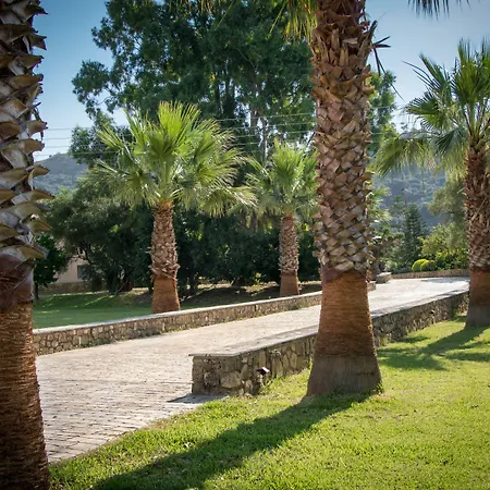 Leone Luxury Kalamákion