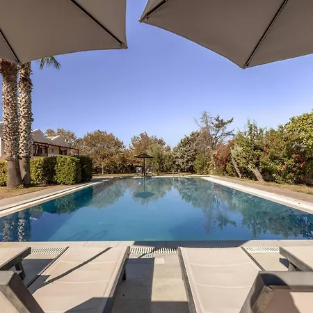 Leone Luxury *