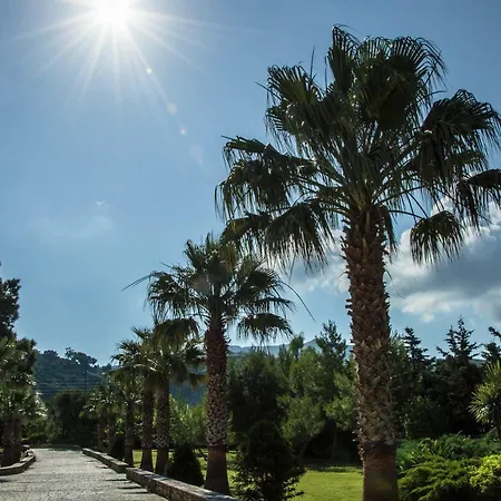Villa Leone Luxury *