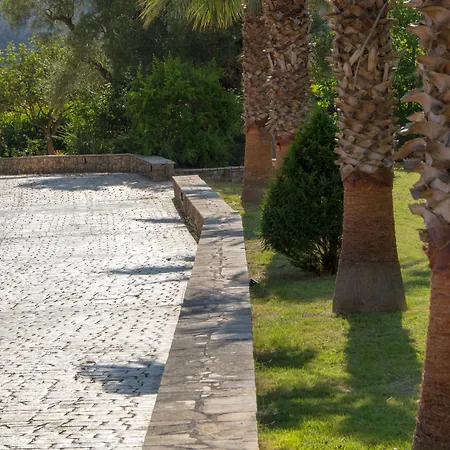 Leone Luxury Kalamákion